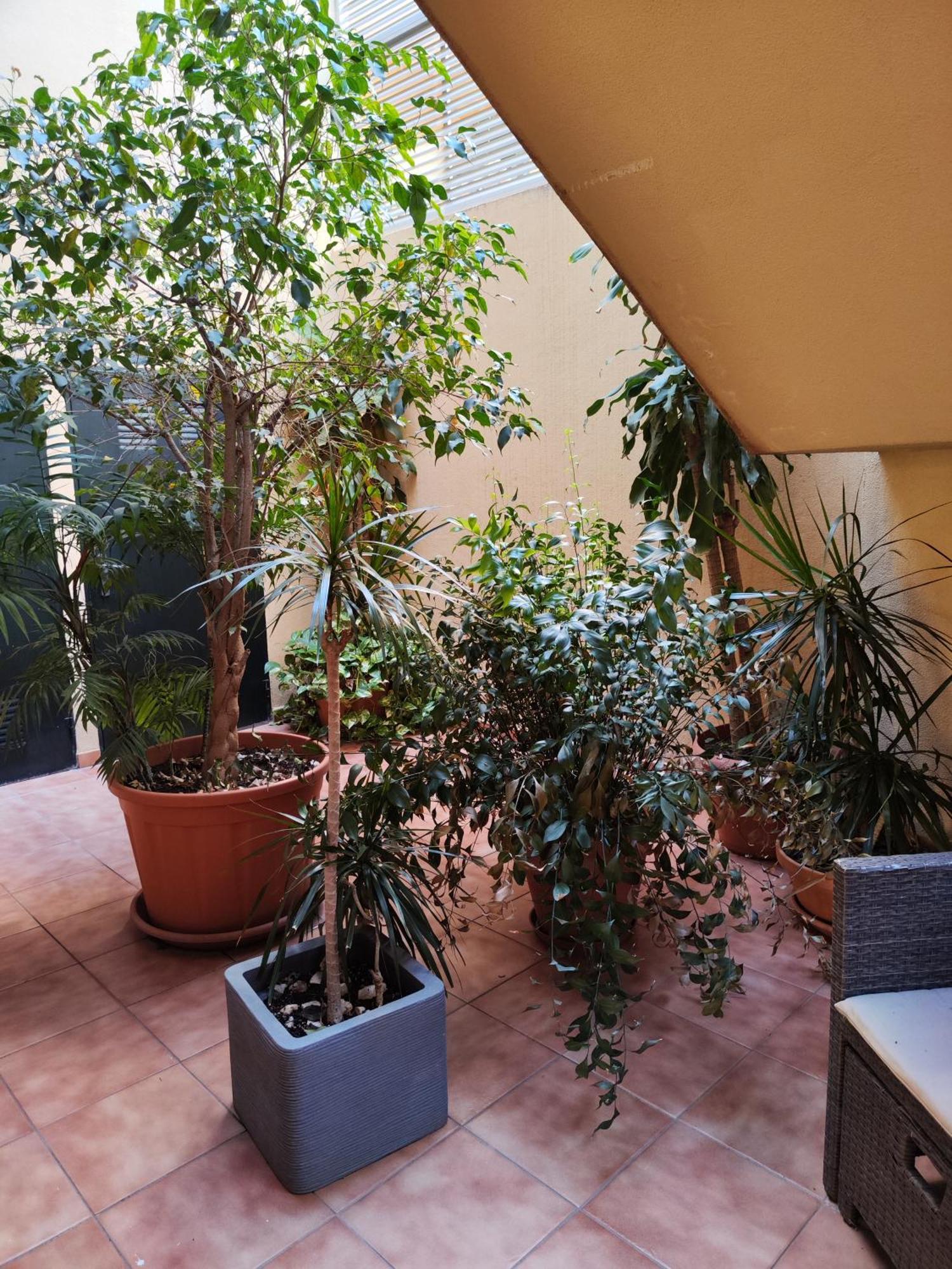 Malaga Experience Apartment Exterior photo